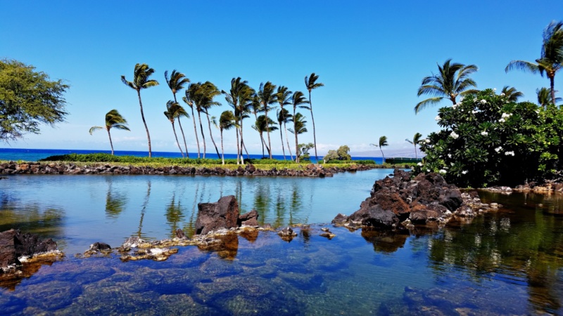 Hawaiian Luxury: Mauna Lani Hotel & Bungalow
