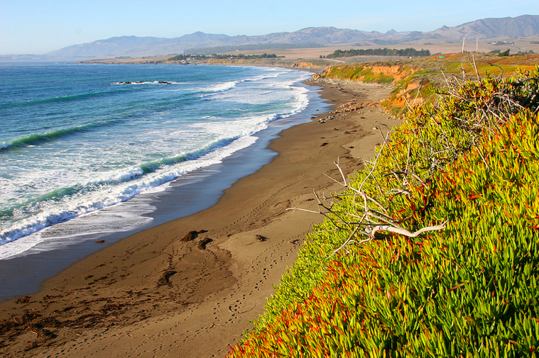 Why Cambria is Central Coast California’s Ultimate Romantic Getaway