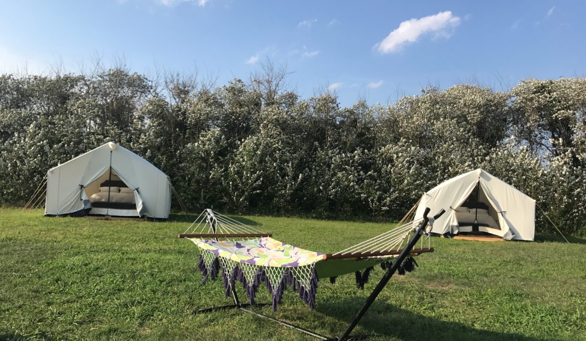 Terra Glamping’s Rebecca Martin on luxurious camping in The Hamptons, what to expect from glamping & more