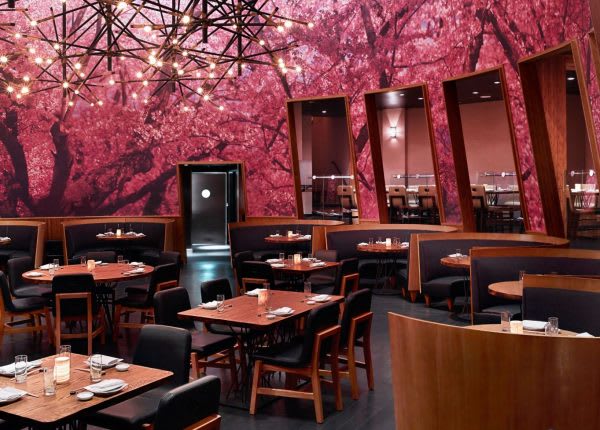 Exclusive: Carlon Kira On Kumi Japanese Restaurant + Bar’s Past, Present & Future